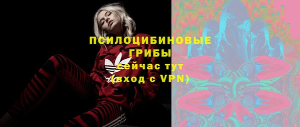 винт Костерёво