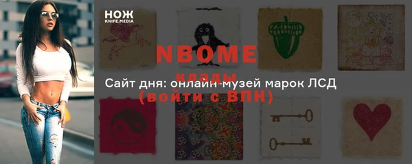крисы Коряжма
