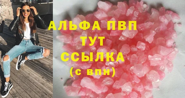 крисы Коряжма
