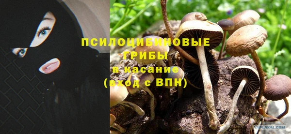 крисы Коряжма