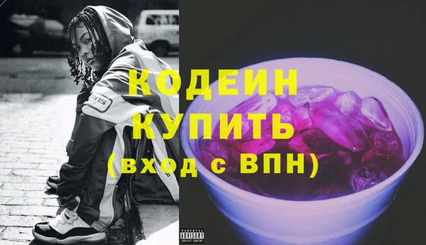 крисы Коряжма