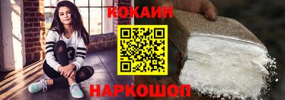 СК Гатчина