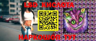 СК Гатчина