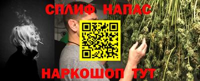 СК Гатчина