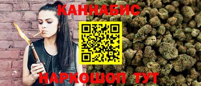 СК Гатчина