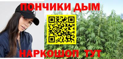 СК Гатчина
