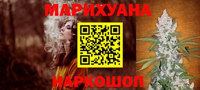 СК Гатчина