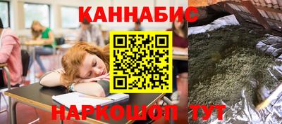 СК Гатчина