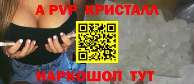 СК Гатчина
